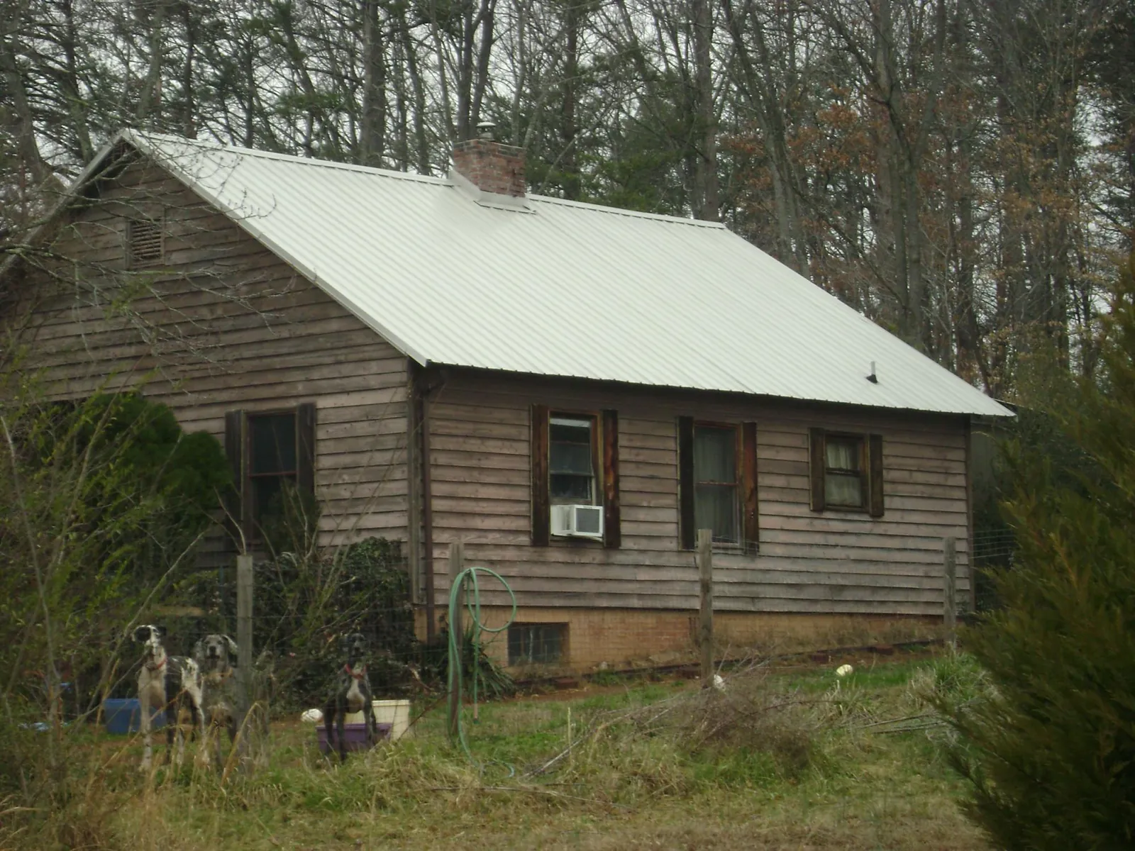 White metal roof on an old wood sided farmhouse, from a Asphalt Shingle Roof Repair job in Barry